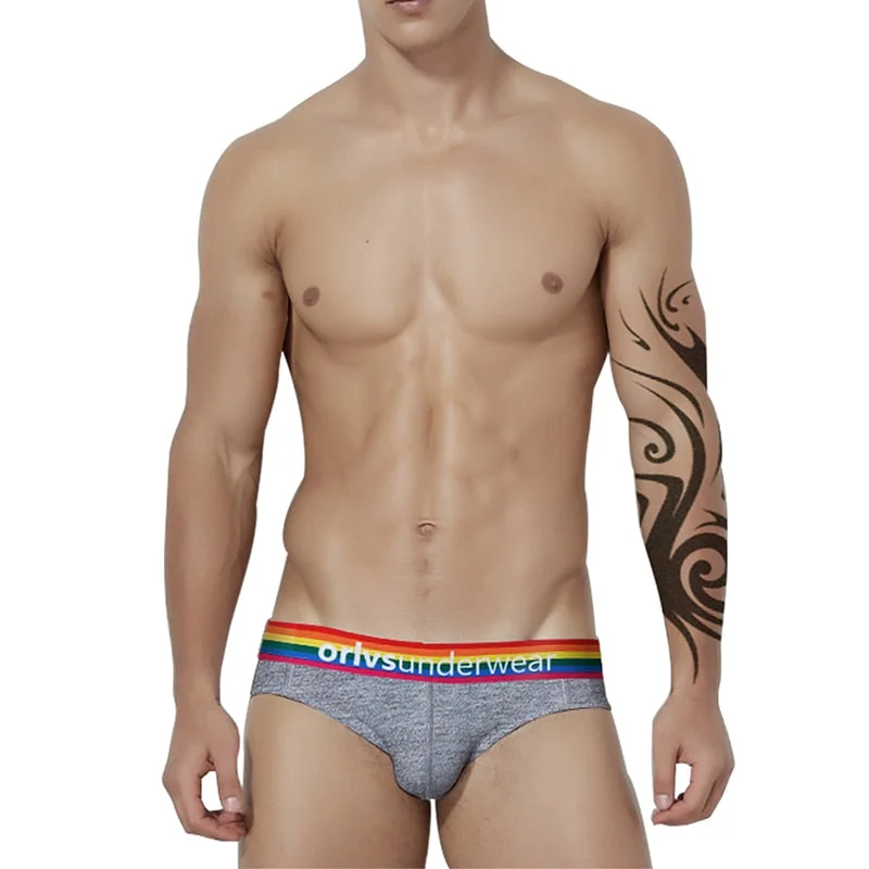 quirky trunks with funny quotes-Men's ORLVS Pride Brief